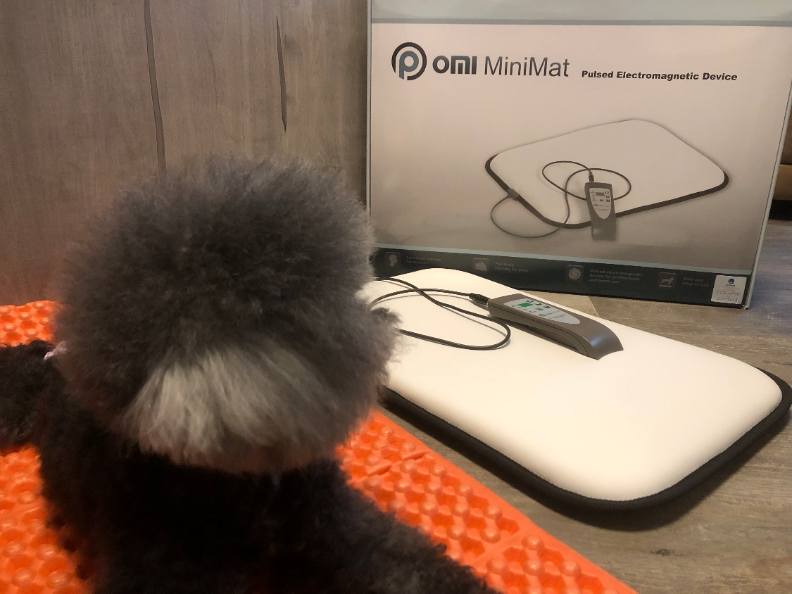 OMI PEMF Mini MAT Buyandship（台灣）