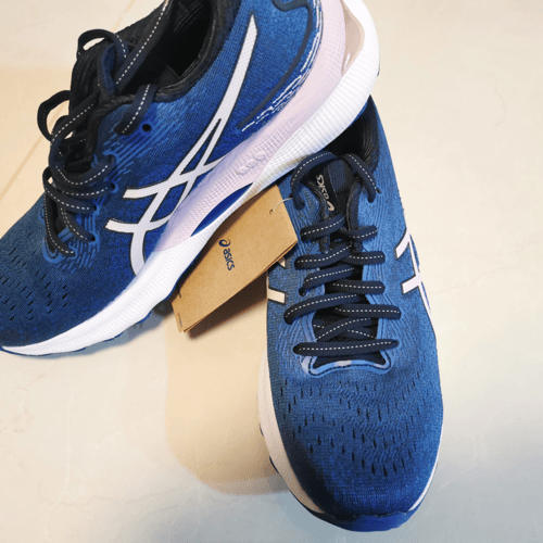 Asics Gel nimbus 24 Buyandship Hong Kong