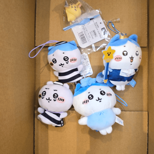 Buy&Ship Member unboxing image