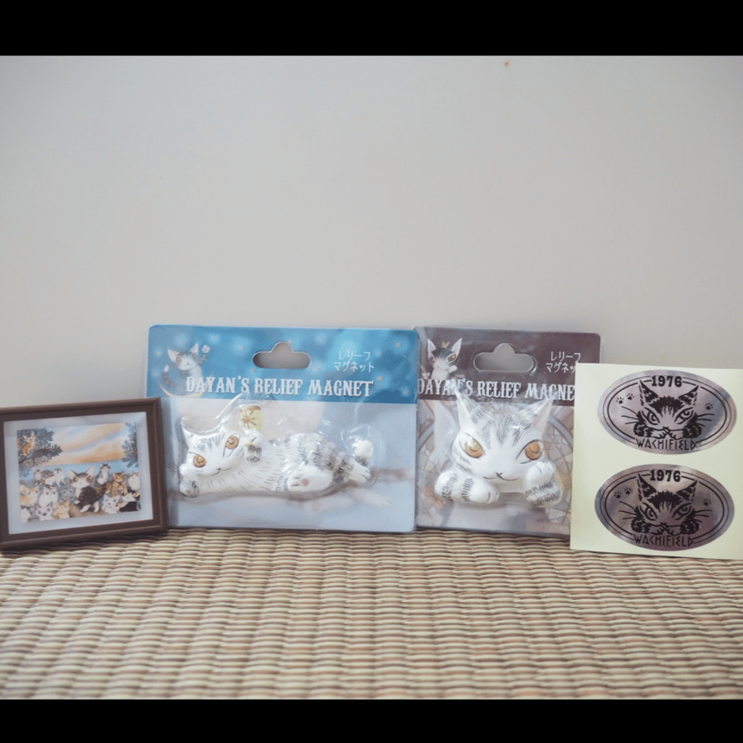 wachifield cat 文具 | Buy&Ship（台灣）