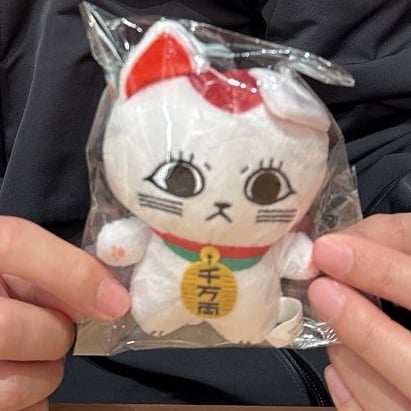 Buy&Ship Member unboxing image