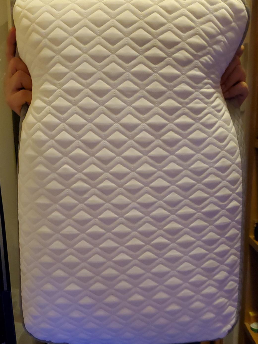 Sealy Molded Memory Foam Pillow Buyandship 台灣 國際代運