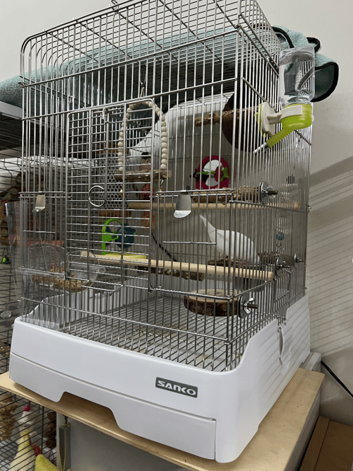 Sanko不鏽鋼鳥籠| Buyandship Hong Kong