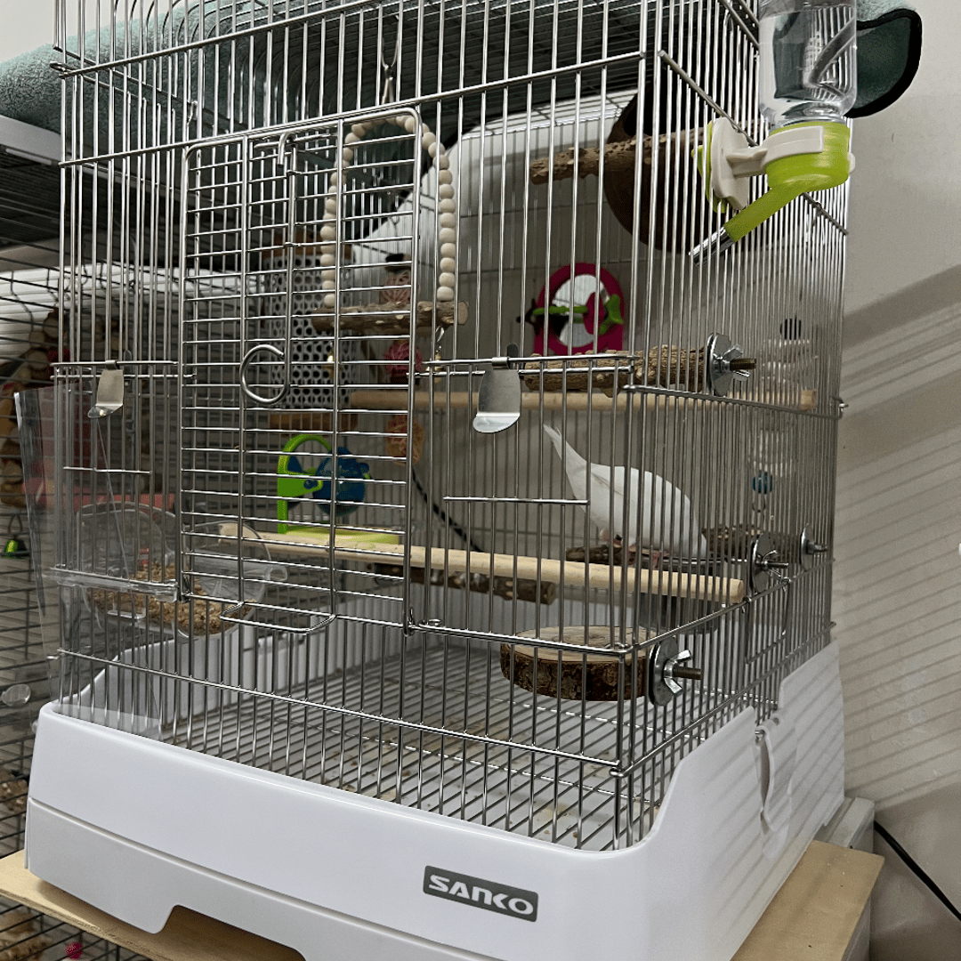 Sanko不鏽鋼鳥籠| Buyandship Hong Kong