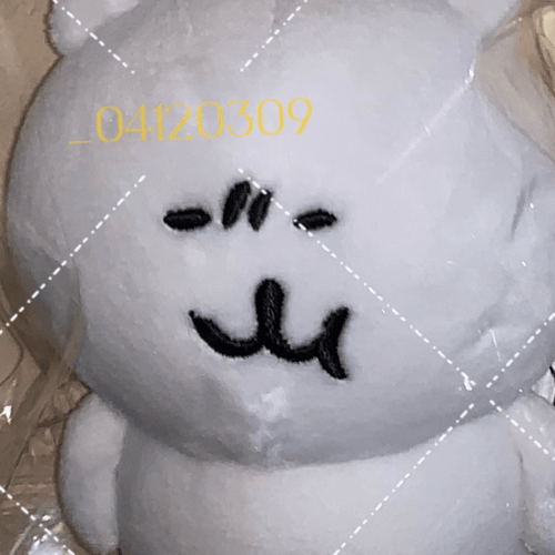 Buy&Ship Member unboxing image