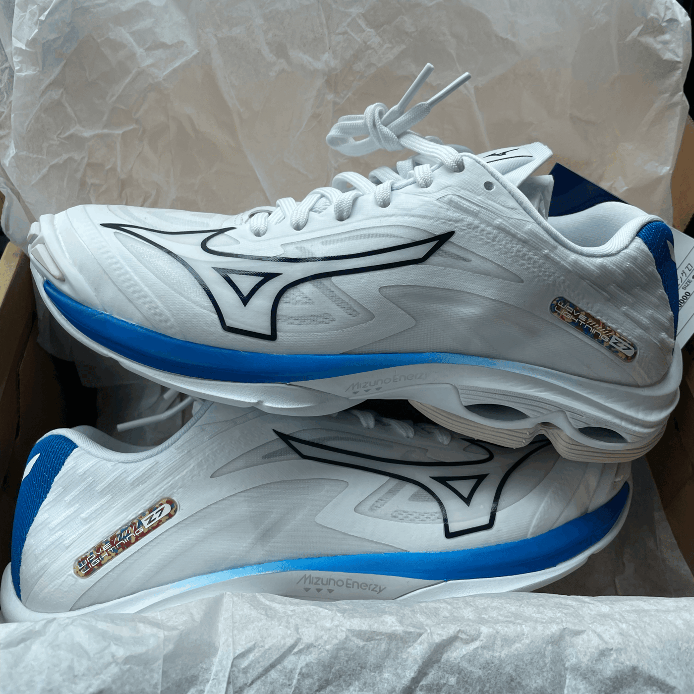 mizuno volleyball shoes Buyandship Singapore