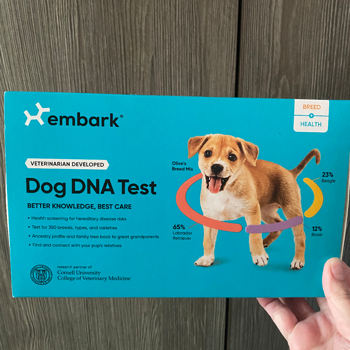 Breed + Health Test for Dog Buyandship Malaysia