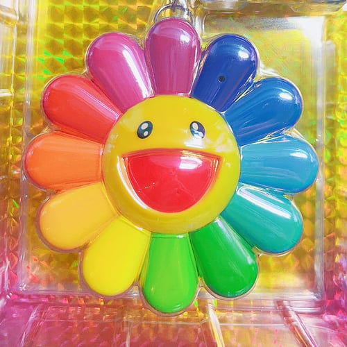 村上隆　FLOWER GO WALK COLOR RAINBOW AURORA Takashi Murakami FLOWER GO WALK COLOR Aurora Comes | eBay