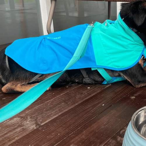 Ruffwear Buyandship