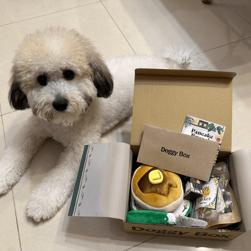 Doggy box deals