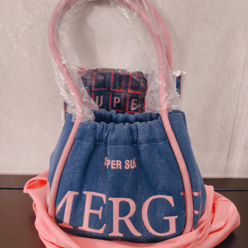 その他 SUPERSUN ZeePruk A DAY BAG MINI ZeeNuNew SUPERSUN ZeePruk A DAY BAG MINI ZeeNuNew
