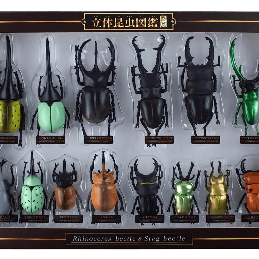 Access 3D 昆蟲玩具DX 甲蟲鍬蟲14 種套裝