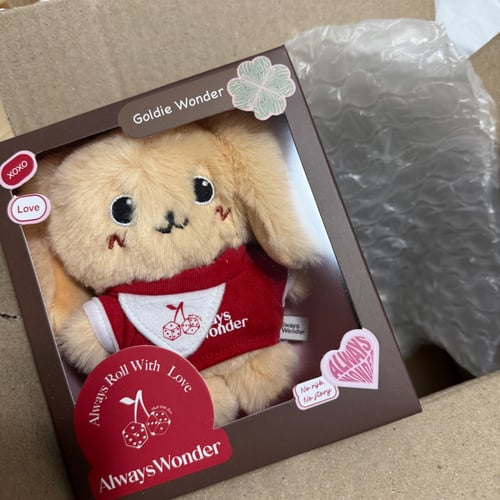 Always Wonder｜用戶真實分享｜Buy&Ship 香港