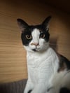 GOOD SQUISH手工髮圈｜User Shared Post｜Buy&Ship Hong Kong