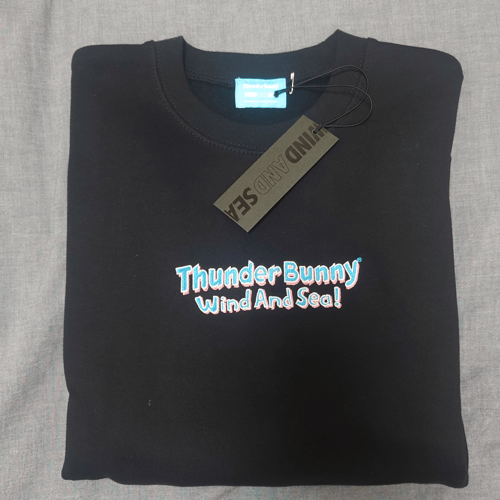 Wind and sea x Thunder bunny 衛衣｜用戶真實分享｜Buy&Ship 香港