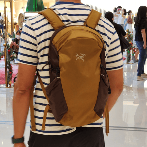 Arc'teryx Mantis 16 Backpack | Buyandship Hong Kong