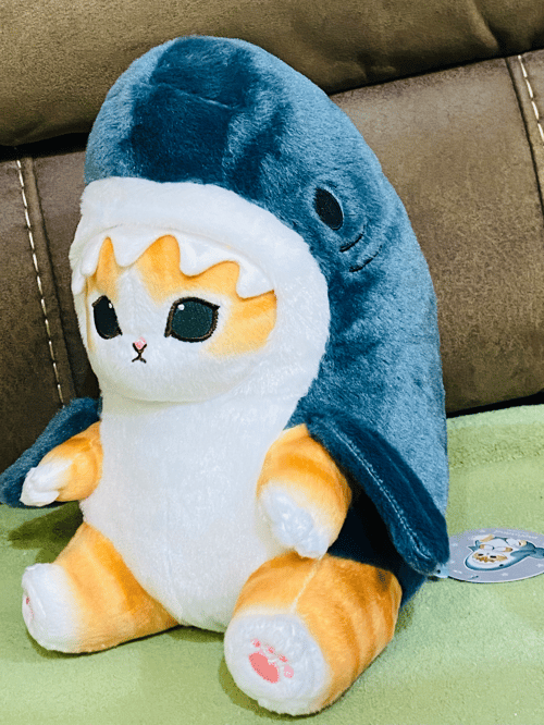 Buy&Ship Member unboxing image